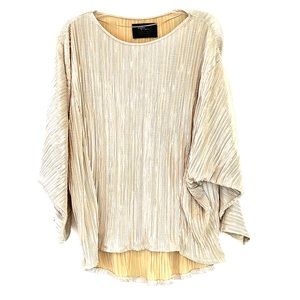 Zara Special Edition Shimmery Silver Dolman Top
